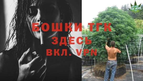 стаф Снежинск